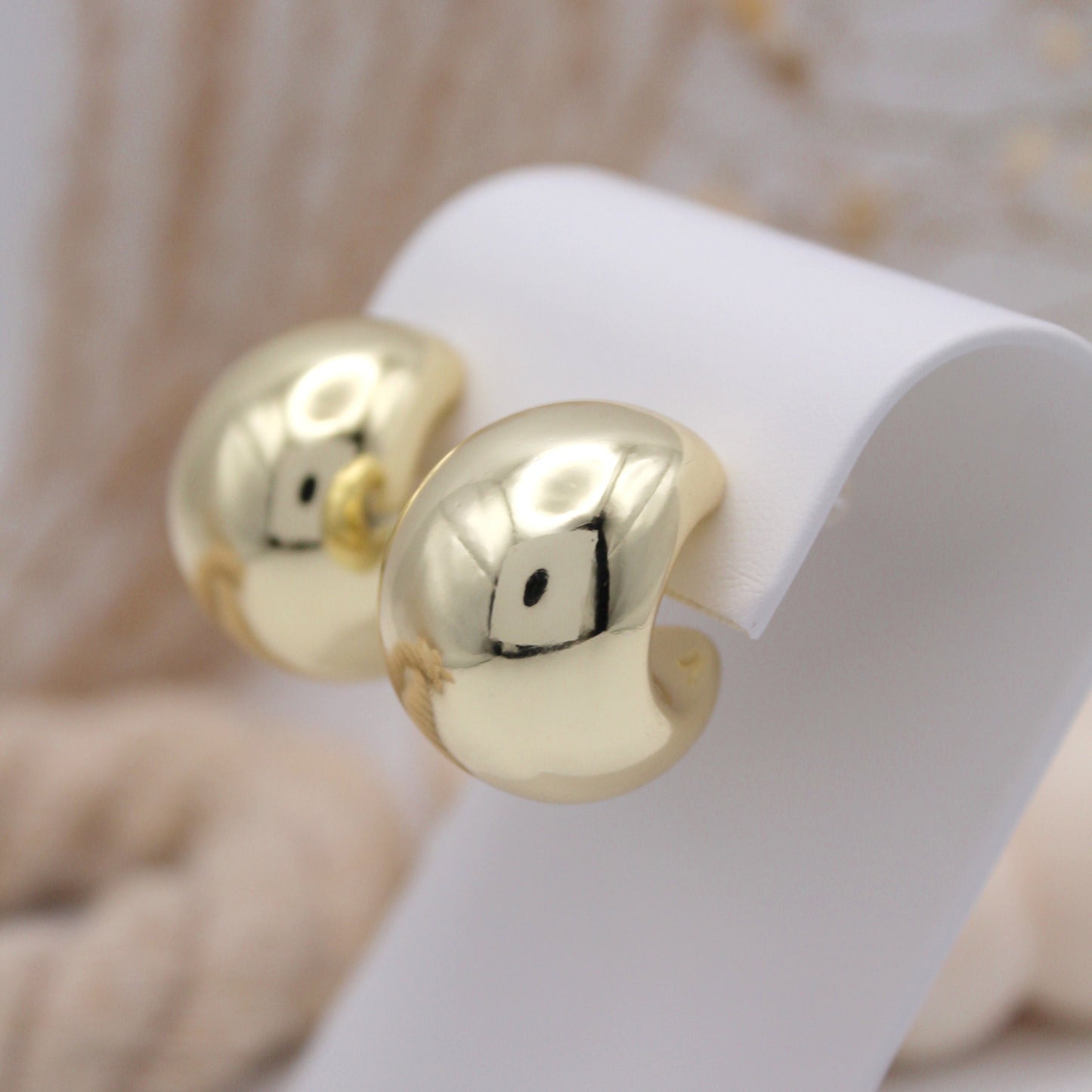 Whinona Hoop Earrings