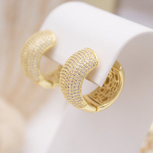 Audrianna Hoop Earrings