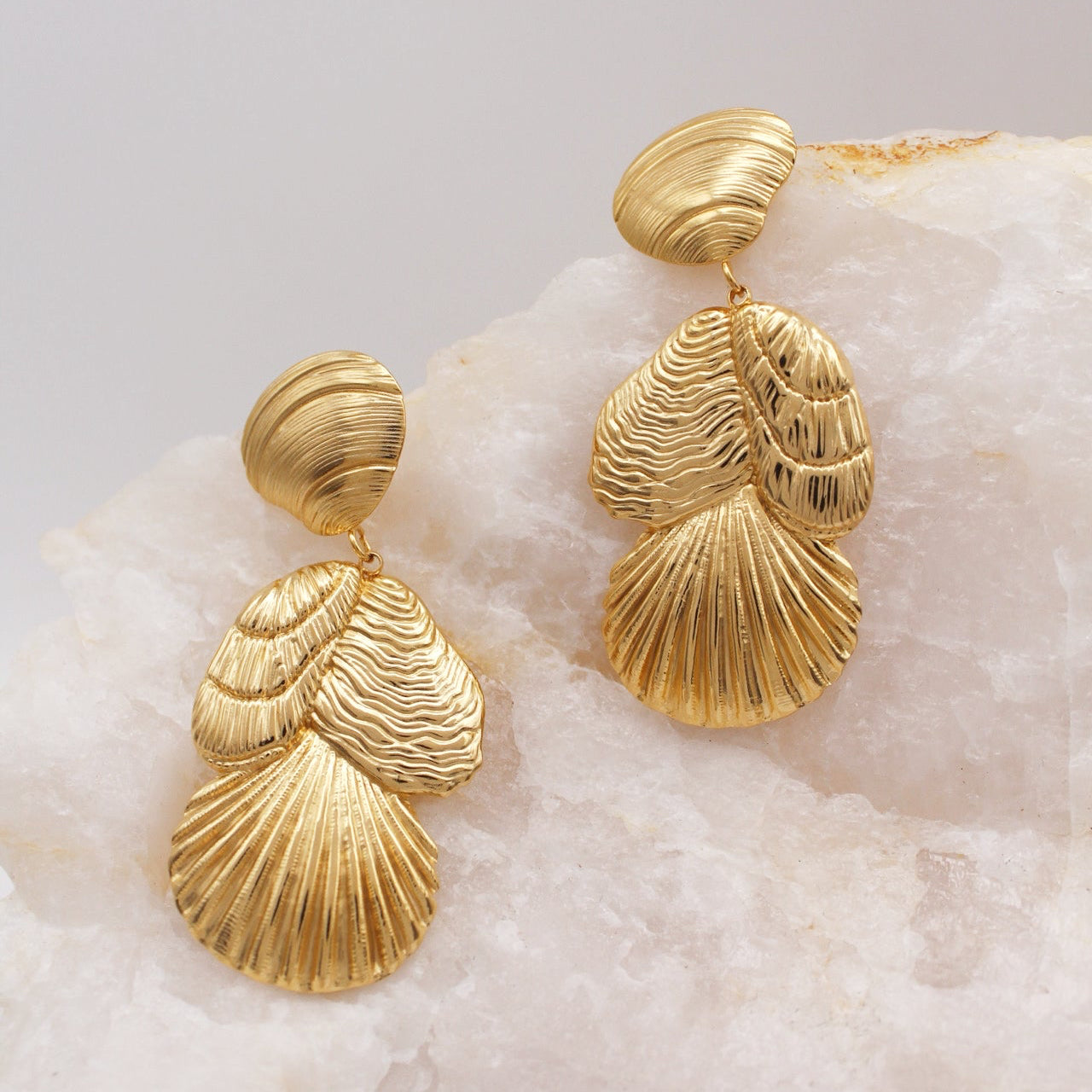 Seashell Stud Earrings