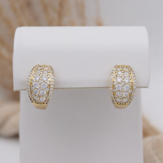 Quennie Huggie Earrings