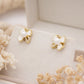 Luvine Pearl Stud Earrings